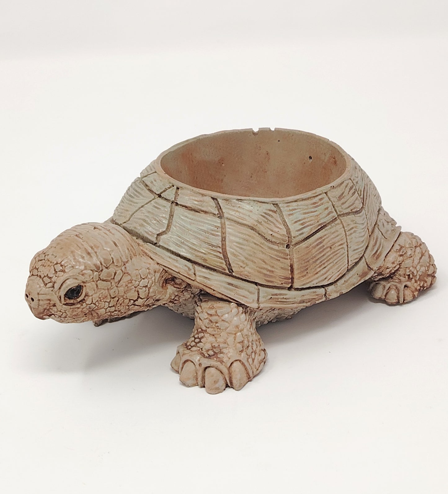 Tortoise - Succulent Pot