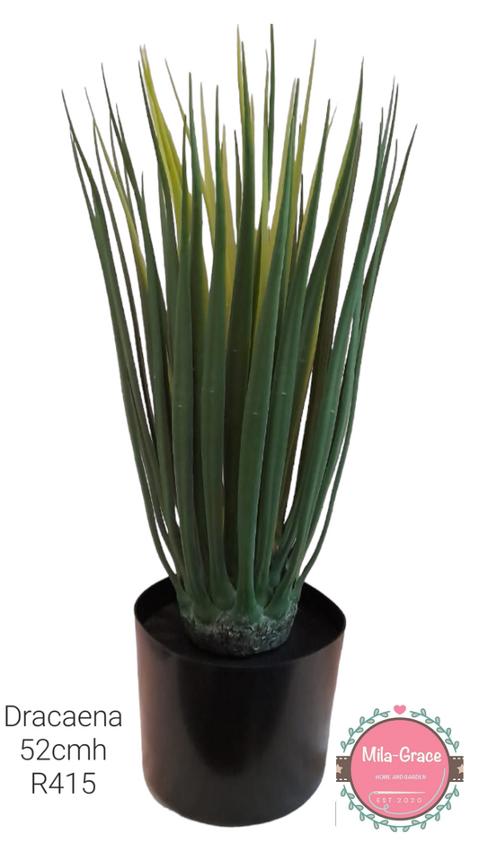 Artificial plant - Dracaena