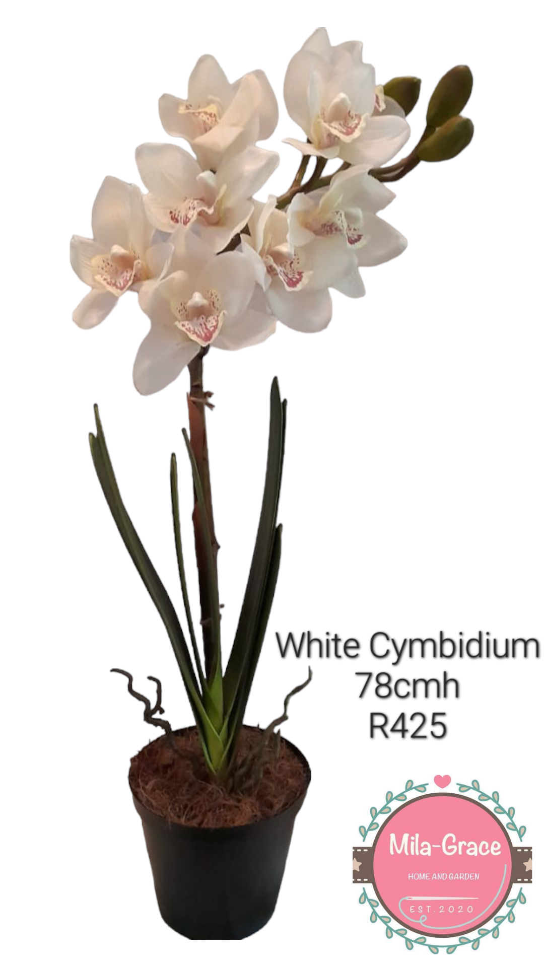 Artificial Plant - White Cymbidium