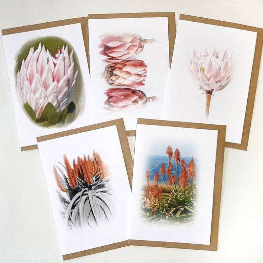 Proteas & Aloes - Set of 5 Greeting Cards