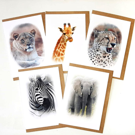 Wildlife - Set of 5 Greeting Cards